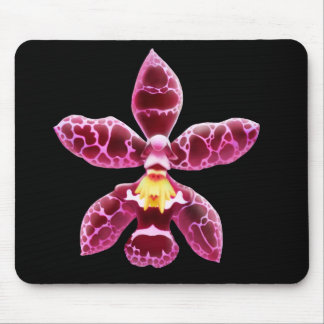 Pink Wilsonara Orchid Flower Mouse Pad