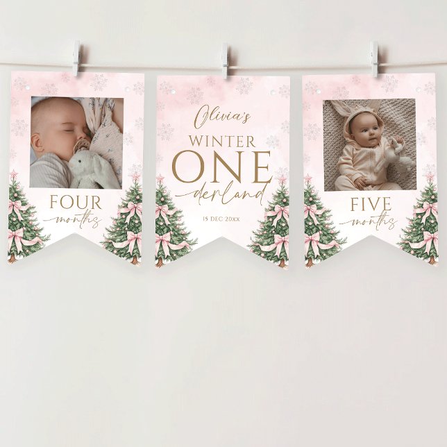 Pink Winter Onederland 1st Birthday Monthly Photo Bunting Flags (Creator Uploaded)