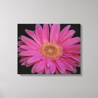 Pink Wrapped Canvas Print