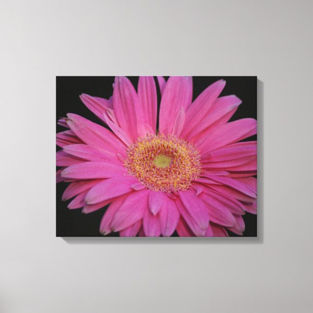 Pink Wrapped Canvas Print (Front)