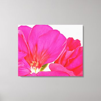 Pink Wrapped Canvas Print by artinphotography at Zazzle