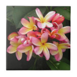 Pink, Yellow and Red Plumeria Flowers Tile