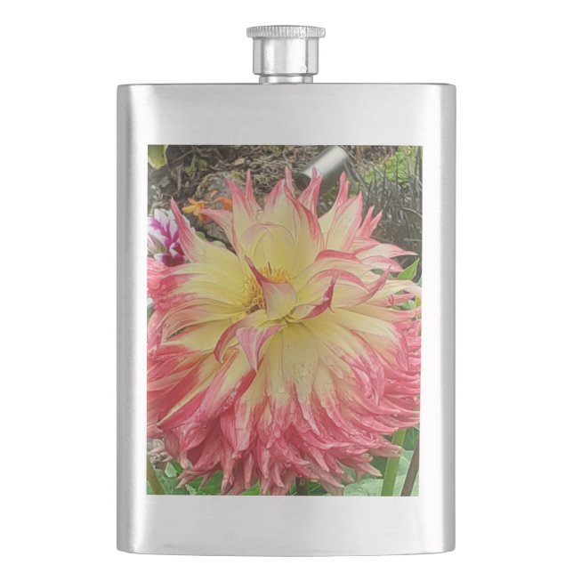 Pink & Yellow Dahlia Classic Hip Flask (Front)
