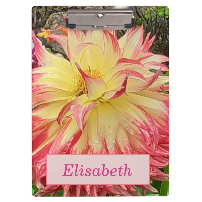 Pink & Yellow Dahlia  Clipboard (Front)