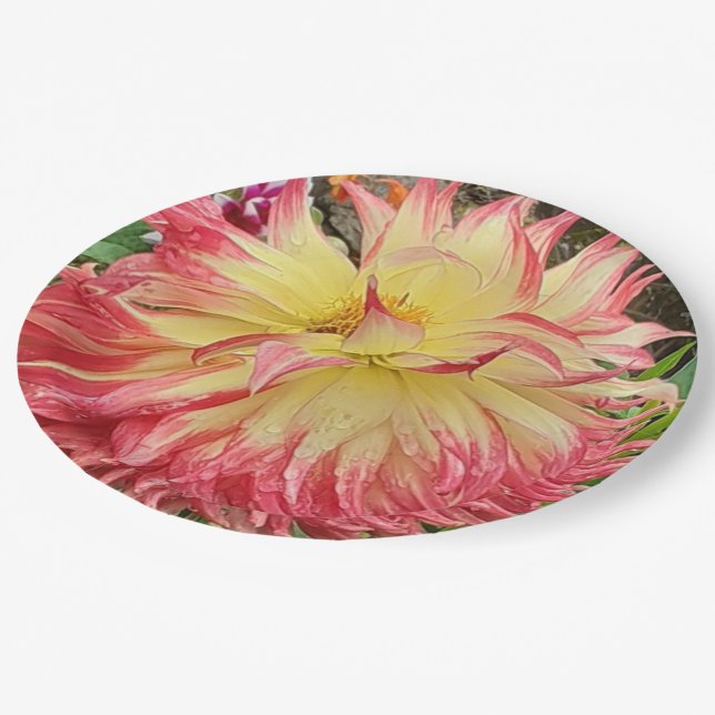 Pink & Yellow Dahlia  Paper Plates (Angled)