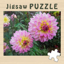 Pink Yellow Flowers blooming aesthetic Photo -