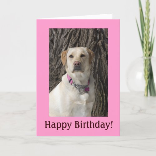 Pink Yellow Lab Birthday Card