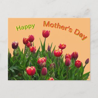 Pink Yellow Purple Tulips Mother's Day Postcard