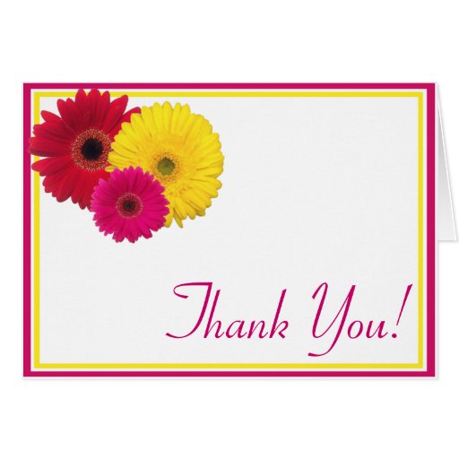 Pink Yellow Red Gerbera Daisy Thank You Card | Zazzle