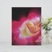 pink yellow rose (Standing Front)