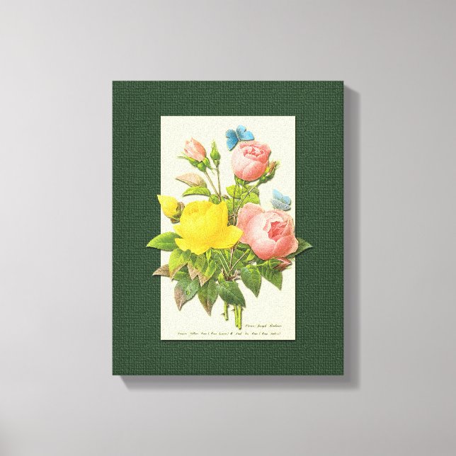 Pink Yellow Rose Botanical Art Wrapped Canvas Print (Front)
