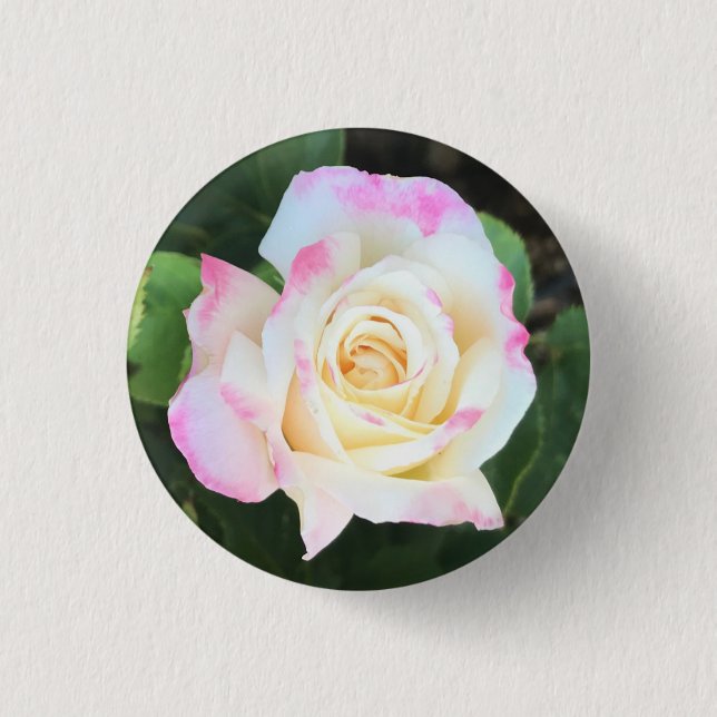 Pink & Yellow Rose Button (Front)