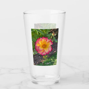 Pink Yellow Rose Glass