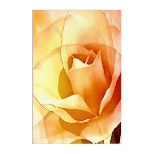 Pink Yellow Rose Watercolor Style Acrylic Wall Art