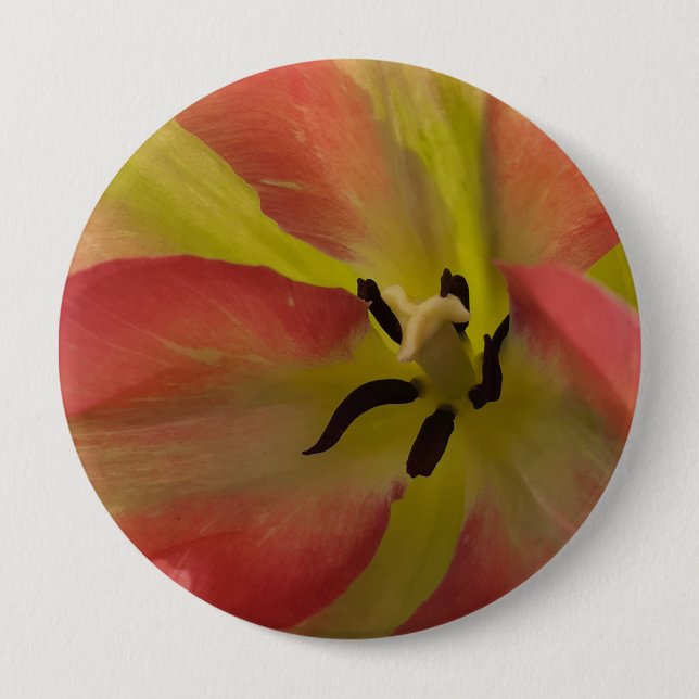Pink & Yellow Tulip Button (Front)