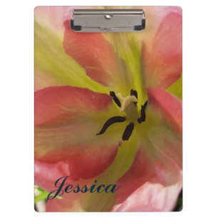 Pink & Yellow Tulip  Clipboard
