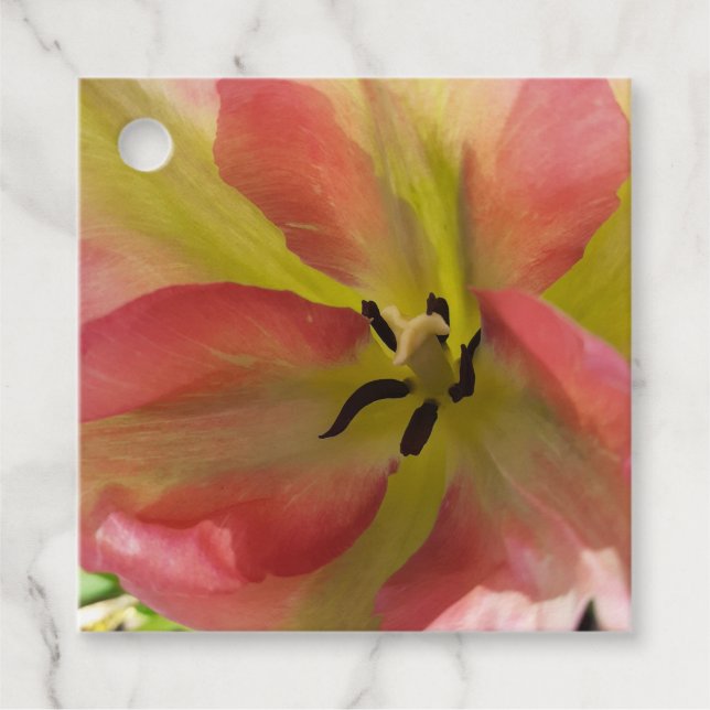 Pink & Yellow Tulip  Favor Tags (Front)