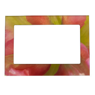 Pink & Yellow Tulip Magnetic Frame
