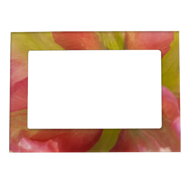 Pink & Yellow Tulip  Magnetic Frame (Front)