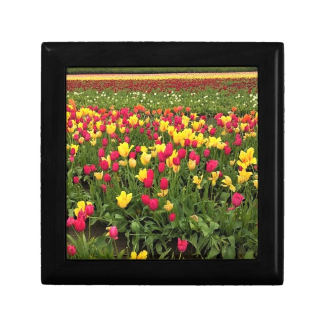 Pink & Yellow Tulips, Oregon Gift Box (Front)