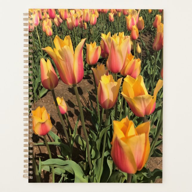 Pink & Yellow Tulips Planner (Front)