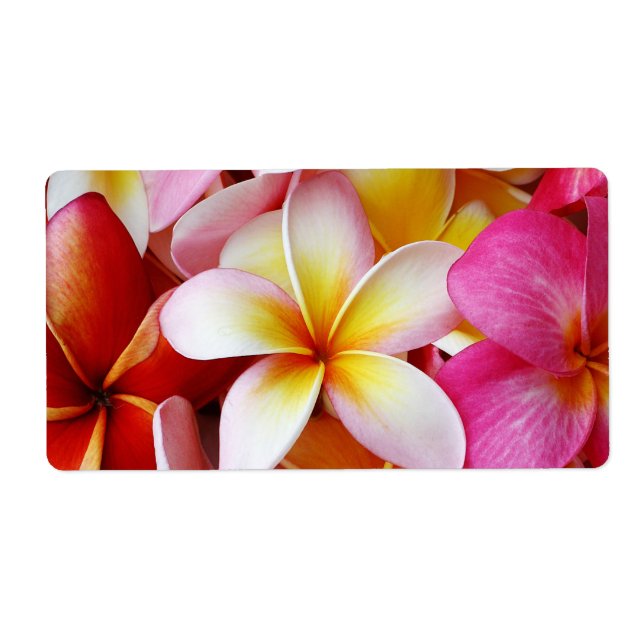 Pink Yellow  White Mixed Plumeria Flower Label (Front)