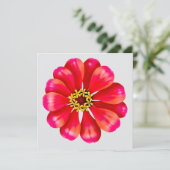 Pink Zinnia (Standing Front)