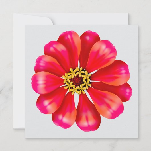 Pink Zinnia (Front)