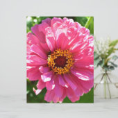 Pink Zinnia (Standing Front)