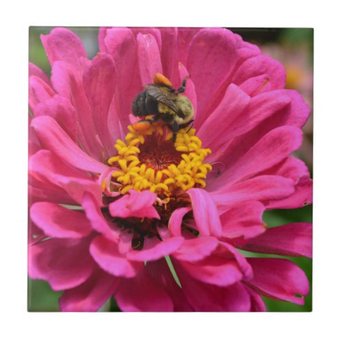 Pink Zinnia and Bumble bee Ceramic Tile