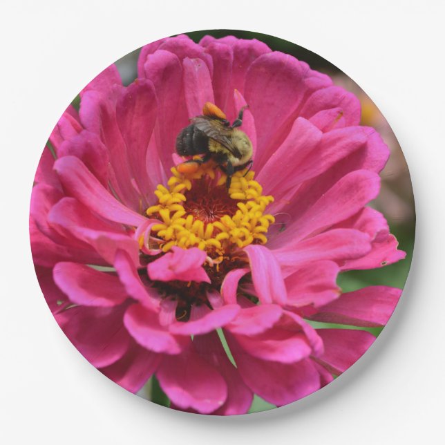 Pink Zinnia and Bumble bee Paper Plates (Front)