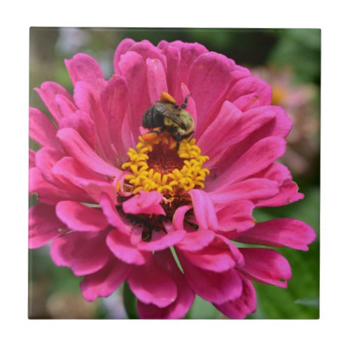 Pink Zinnia and Bumble bee Tile