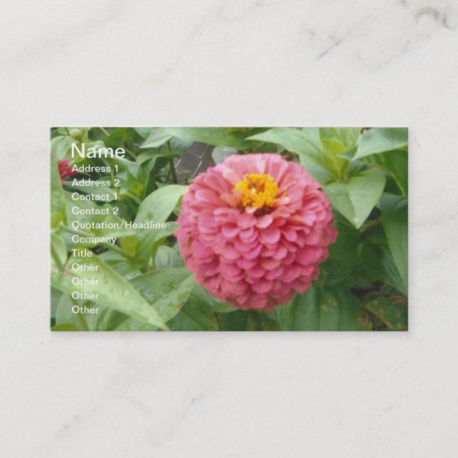 Pink Zinnia Business Card (Front)