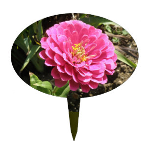 Pink Zinnia Cake Pick