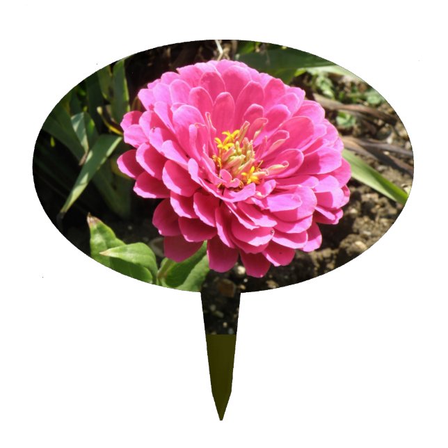 Pink Zinnia Cake Pick (Front)