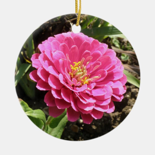 Pink Zinnia Custom Birthday Ceramic Ornament (Front)