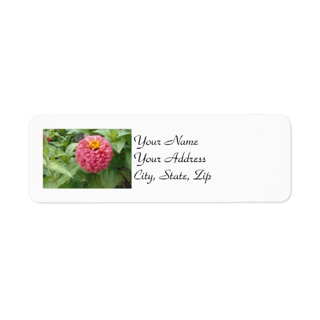 Pink Zinnia Label (Front)