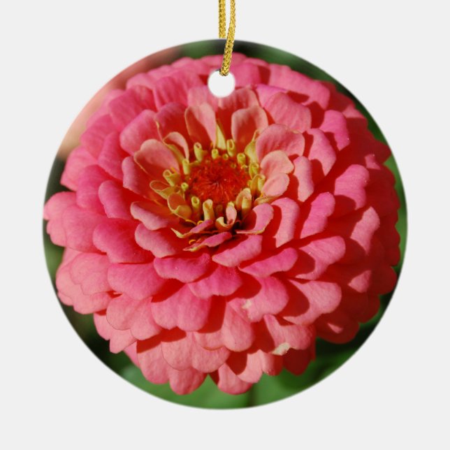 Pink Zinnia ornament (Front)