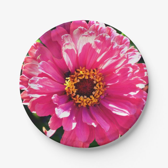 Pink Zinnia Paper Plates (Front)