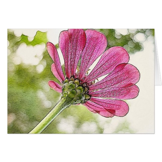 Pink Zinnia reaching for the sky Card