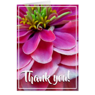 Pink Zinnia Thank You Card Pink Zinnia Thank You Card