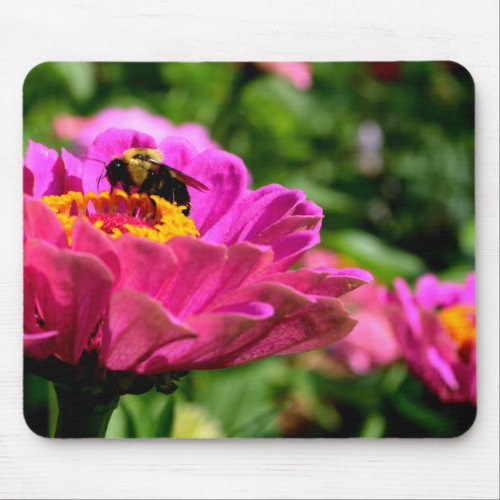 Pink zinnia with bumblebee pink flowers cute bee mouse pad