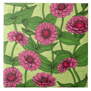 Pink Zinnias on light green Ceramic Tile