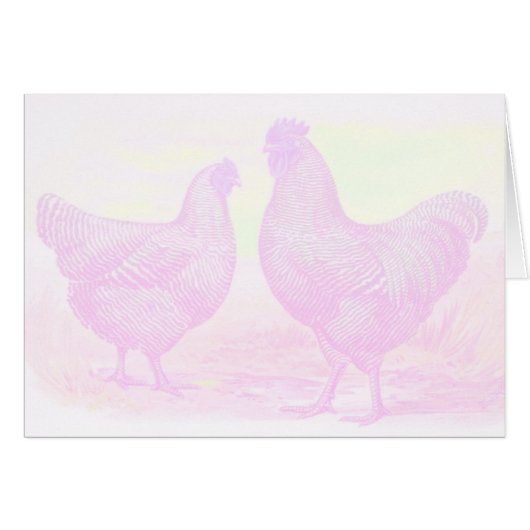 PinkFoam (Front Horizontal)