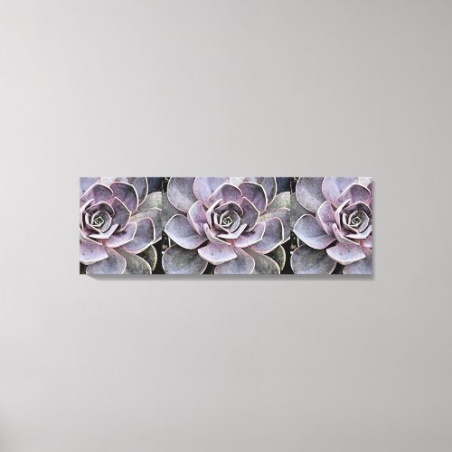 Pinkish _Blue_gray Echeveria Rose Succulent Plan Canvas Print