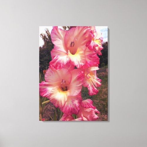 Pinkish Gladiolus Flower Canvas Print