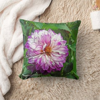 Pinkish-Purple and White Dahlia