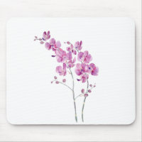 pinkish purple orchid flowers watercolor and ink