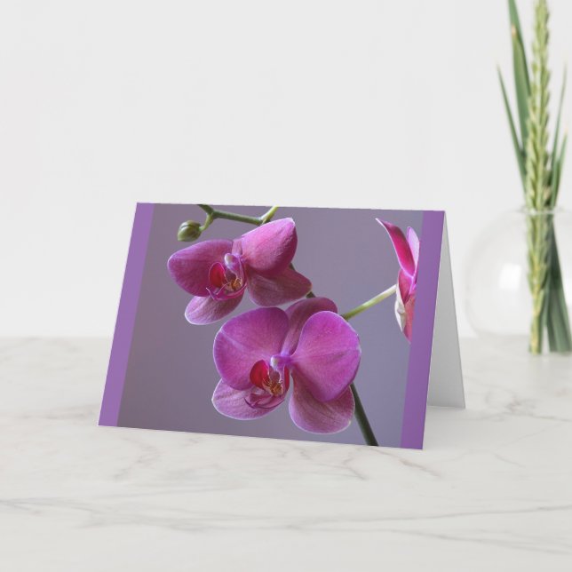 Pinkish purple phalaenopsis orchid greeting card (Front)