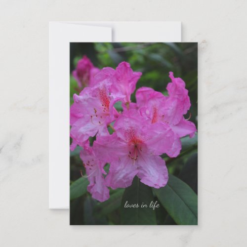 Pinkish Purple Rododendron Note Card